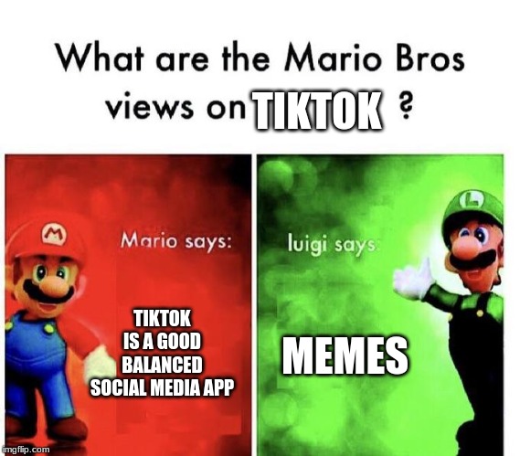 Mario Bros Views | TIKTOK; TIKTOK IS A GOOD BALANCED SOCIAL MEDIA APP; MEMES | image tagged in mario bros views | made w/ Imgflip meme maker