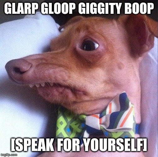 Tuna the dog (Phteven) | GLARP GLOOP GIGGITY BOOP [SPEAK FOR YOURSELF] | image tagged in tuna the dog phteven | made w/ Imgflip meme maker