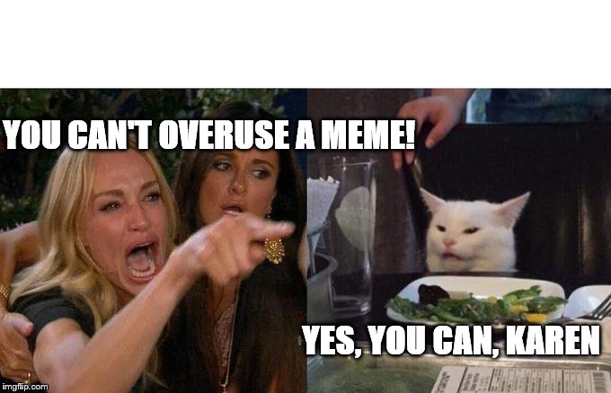 Woman Yelling At Cat Meme | YOU CAN'T OVERUSE A MEME! YES, YOU CAN, KAREN | image tagged in memes,woman yelling at cat | made w/ Imgflip meme maker