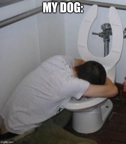 Drunk puking toilet | MY DOG: | image tagged in drunk puking toilet | made w/ Imgflip meme maker