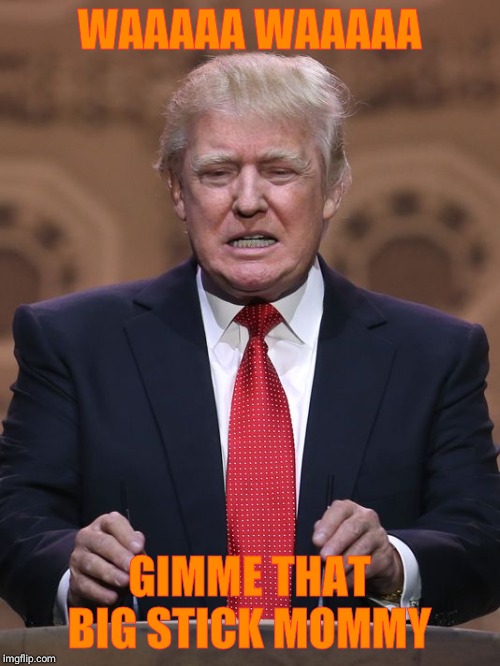 Donald Trump | WAAAAA WAAAAA GIMME THAT BIG STICK MOMMY | image tagged in donald trump | made w/ Imgflip meme maker