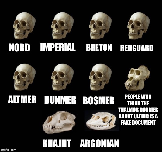 PEOPLE WHO
THINK THE
THALMOR DOSSIER
ABOUT ULFRIC IS A
FAKE DOCUMENT | image tagged in skulls,the elder scrolls,skyrim meme | made w/ Imgflip meme maker