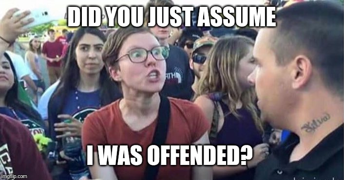 Did you just assume my gender | DID YOU JUST ASSUME; I WAS OFFENDED? | image tagged in did you just assume my gender | made w/ Imgflip meme maker