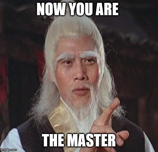 Wise Kung Fu Master | NOW YOU ARE THE MASTER | image tagged in wise kung fu master | made w/ Imgflip meme maker