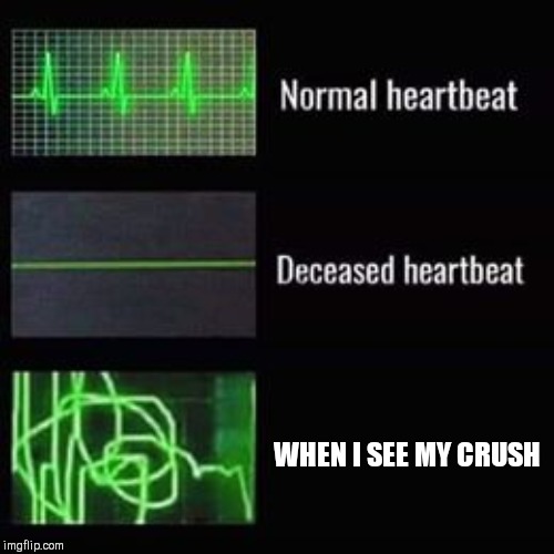 heartbeat rate | WHEN I SEE MY CRUSH | image tagged in heartbeat rate | made w/ Imgflip meme maker