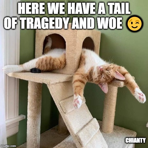 Tail | HERE WE HAVE A TAIL OF TRAGEDY AND WOE 😉; CHIANTY | image tagged in tragedy | made w/ Imgflip meme maker