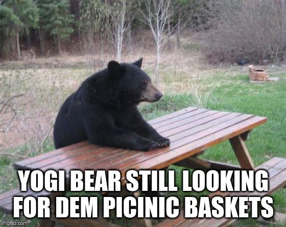 Bad Luck Bear | YOGI BEAR STILL LOOKING FOR DEM PICINIC BASKETS | image tagged in memes,bad luck bear | made w/ Imgflip meme maker