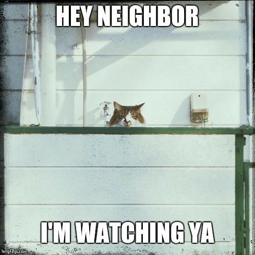 NOSY NEIGHBOR | HEY NEIGHBOR; I'M WATCHING YA | image tagged in neighbors,cats | made w/ Imgflip meme maker