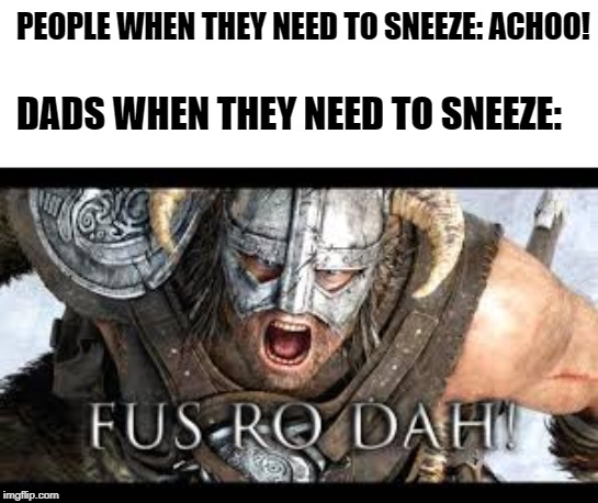 PEOPLE WHEN THEY NEED TO SNEEZE: ACHOO! DADS WHEN THEY NEED TO SNEEZE: | made w/ Imgflip meme maker