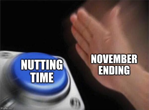 Blank Nut Button | NOVEMBER ENDING; NUTTING TIME | image tagged in memes,blank nut button | made w/ Imgflip meme maker