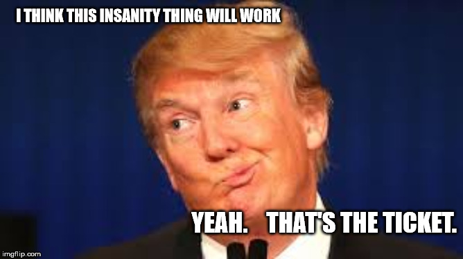 Crazy Trump | I THINK THIS INSANITY THING WILL WORK; YEAH.    THAT'S THE TICKET. | image tagged in crazy trump | made w/ Imgflip meme maker