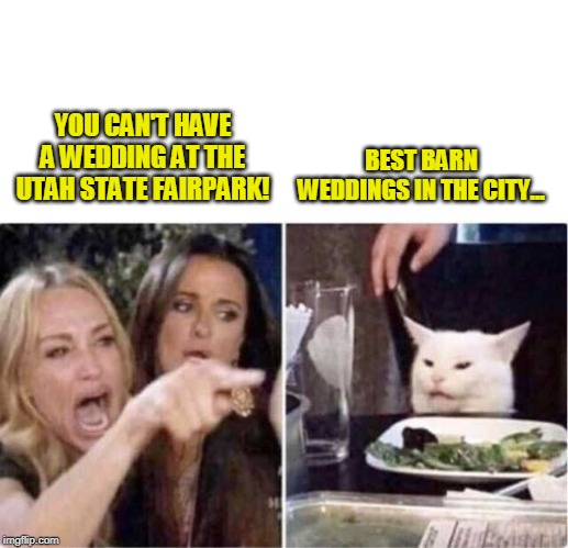 Real housewives screaming cat | YOU CAN'T HAVE A WEDDING AT THE UTAH STATE FAIRPARK! BEST BARN WEDDINGS IN THE CITY... | image tagged in real housewives screaming cat | made w/ Imgflip meme maker