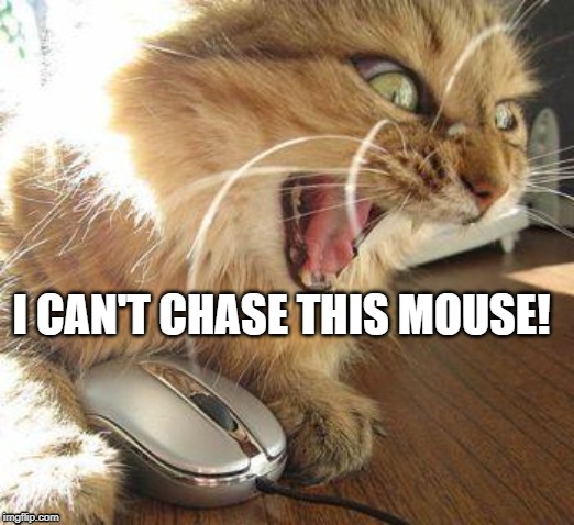 angry cat | I CAN'T CHASE THIS MOUSE! | image tagged in angry cat | made w/ Imgflip meme maker