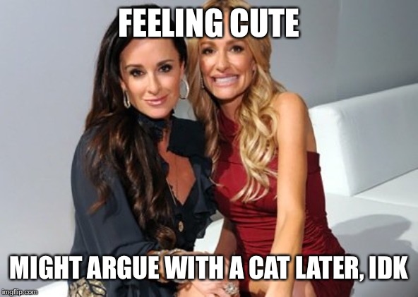 FEELING CUTE; MIGHT ARGUE WITH A CAT LATER, IDK | image tagged in memes,funny memes,woman yelling at cat,feeling cute,real housewives | made w/ Imgflip meme maker