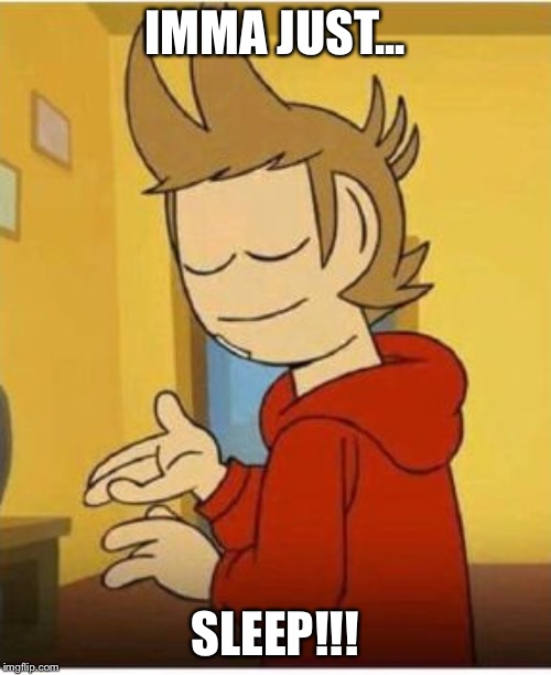 Tord face of mercy | IMMA JUST... SLEEP!!! | image tagged in tord face of mercy | made w/ Imgflip meme maker