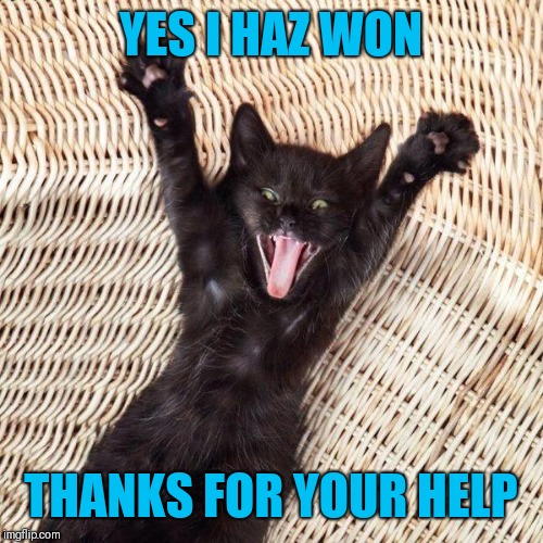 Happy cat  | YES I HAZ WON THANKS FOR YOUR HELP | image tagged in happy cat | made w/ Imgflip meme maker