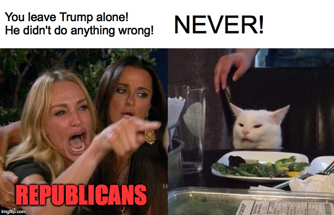 Woman Yelling At Cat | You leave Trump alone! He didn't do anything wrong! NEVER! REPUBLICANS | image tagged in memes,woman yelling at cat,trump,impeachment,republicans | made w/ Imgflip meme maker