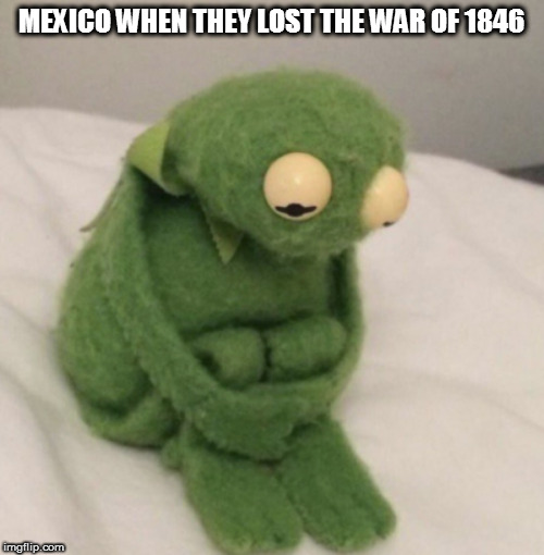 the first meme i ever made | MEXICO WHEN THEY LOST THE WAR OF 1846 | image tagged in kermit the frog | made w/ Imgflip meme maker