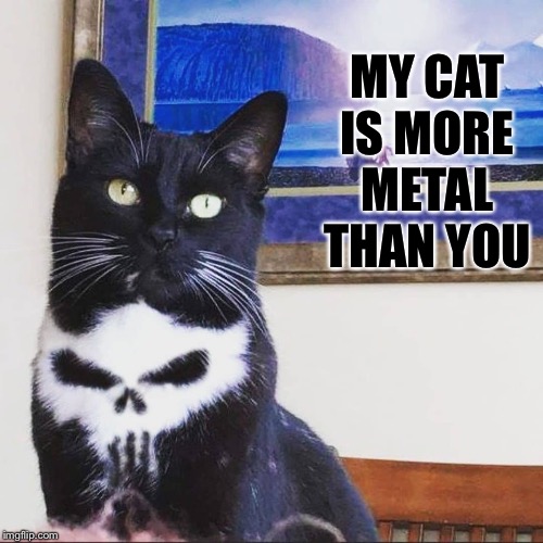The Purrnisher | MY CAT IS MORE METAL THAN YOU | image tagged in metal,cat,skull,fur | made w/ Imgflip meme maker