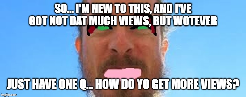 SO... I'M NEW TO THIS, AND I'VE GOT NOT DAT MUCH VIEWS, BUT WOTEVER; JUST HAVE ONE Q... HOW DO YO GET MORE VIEWS? | image tagged in memes,views,upvotes | made w/ Imgflip meme maker