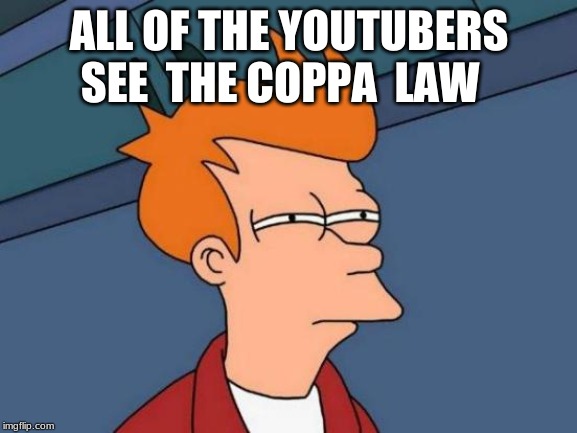 Futurama Fry | ALL OF THE YOUTUBERS SEE  THE COPPA  LAW | image tagged in memes,futurama fry | made w/ Imgflip meme maker