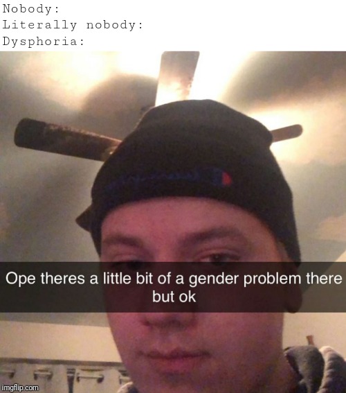 Little bit of a gender problem | Nobody:
Literally nobody:
Dysphoria: | image tagged in little bit of a gender problem | made w/ Imgflip meme maker