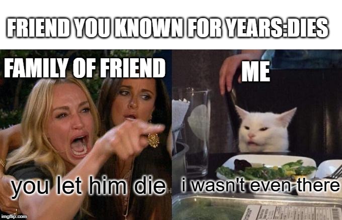 Woman Yelling At Cat | FRIEND YOU KNOWN FOR YEARS:DIES; FAMILY OF FRIEND; ME; you let him die; i wasn't even there | image tagged in memes,woman yelling at cat | made w/ Imgflip meme maker