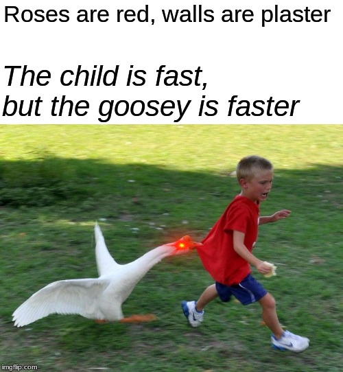 The goose is coming for you | Roses are red, walls are plaster; The child is fast, but the goosey is faster | image tagged in memes,funny,goose | made w/ Imgflip meme maker
