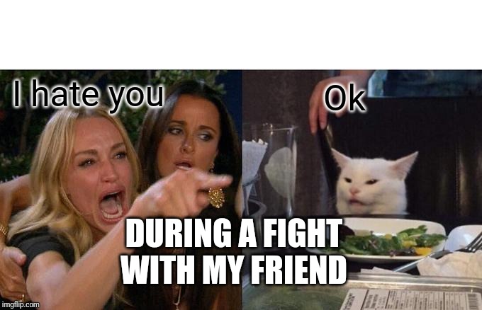 Woman Yelling At Cat | Ok; I hate you; DURING A FIGHT WITH MY FRIEND | image tagged in memes,woman yelling at cat | made w/ Imgflip meme maker