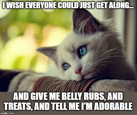 First World Problems Cat | I WISH EVERYONE COULD JUST GET ALONG... AND GIVE ME BELLY RUBS, AND TREATS, AND TELL ME I'M ADORABLE | image tagged in memes,first world problems cat | made w/ Imgflip meme maker