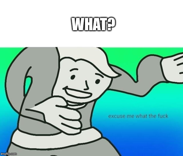 Excuse me, what the fuck | WHAT? | image tagged in excuse me what the fuck | made w/ Imgflip meme maker