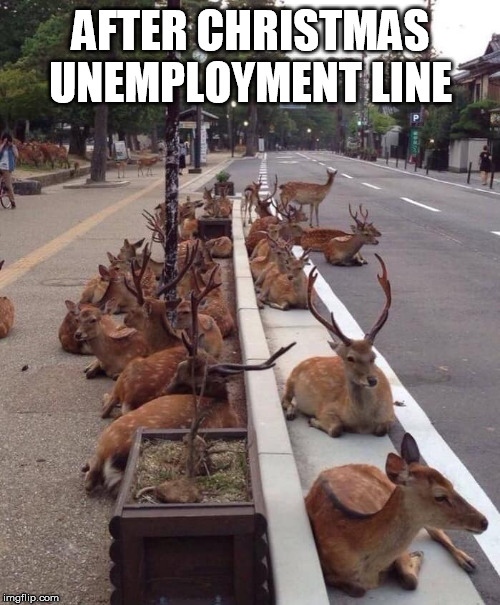 Oh Deer | AFTER CHRISTMAS
UNEMPLOYMENT LINE | image tagged in oh deer | made w/ Imgflip meme maker