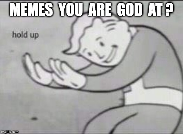 Fallout Hold Up | MEMES  YOU  ARE  GOD  AT ? | image tagged in fallout hold up | made w/ Imgflip meme maker