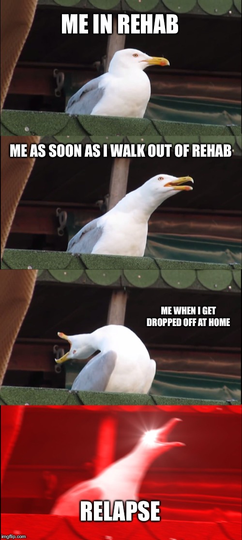 Inhaling Seagull | ME IN REHAB; ME AS SOON AS I WALK OUT OF REHAB; ME WHEN I GET DROPPED OFF AT HOME; RELAPSE | image tagged in memes,inhaling seagull | made w/ Imgflip meme maker