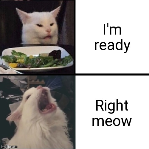 Thurston Waffles | I'm ready Right meow | image tagged in thurston waffles | made w/ Imgflip meme maker