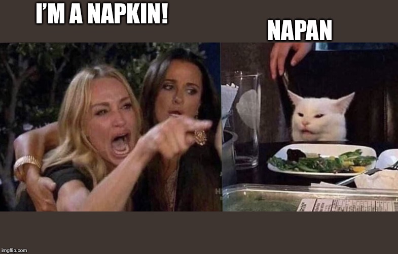woman yelling at cat | NAPAN; I’M A NAPKIN! | image tagged in woman yelling at cat | made w/ Imgflip meme maker