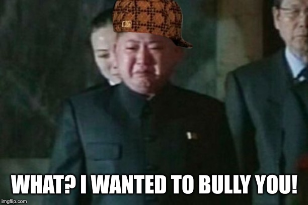 Kim Jong Un Sad Meme | WHAT? I WANTED TO BULLY YOU! | image tagged in memes,kim jong un sad | made w/ Imgflip meme maker