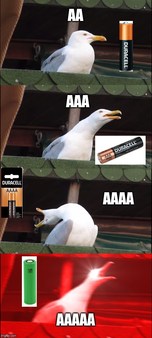 Inhaling Seagull | AA; AAA; AAAA; AAAAA | image tagged in memes,inhaling seagull | made w/ Imgflip meme maker