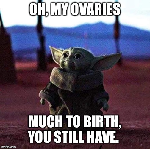 Baby Yoda | OH, MY OVARIES; MUCH TO BIRTH, YOU STILL HAVE. | image tagged in baby yoda | made w/ Imgflip meme maker