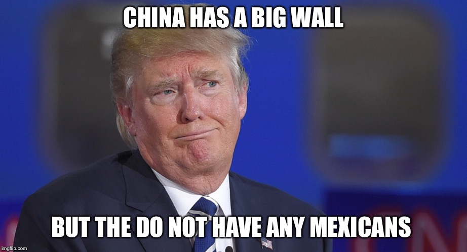 Wot | CHINA HAS A BIG WALL; BUT THE DO NOT HAVE ANY MEXICANS | image tagged in wot,trump,mexico,great wall of trump | made w/ Imgflip meme maker