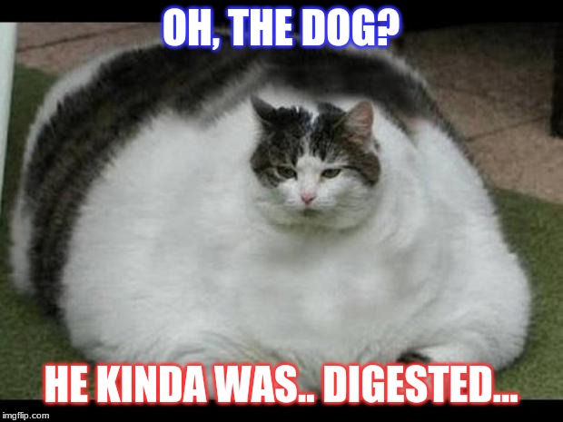 fat cat 2 | OH, THE DOG? HE KINDA WAS.. DIGESTED... | image tagged in fat cat 2 | made w/ Imgflip meme maker