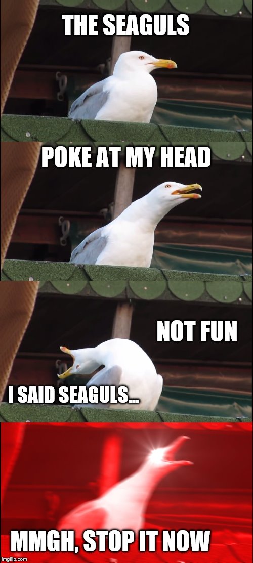 Inhaling Seagull Meme | THE SEAGULS POKE AT MY HEAD NOT FUN I SAID SEAGULS... MMGH, STOP IT NOW | image tagged in memes,inhaling seagull | made w/ Imgflip meme maker