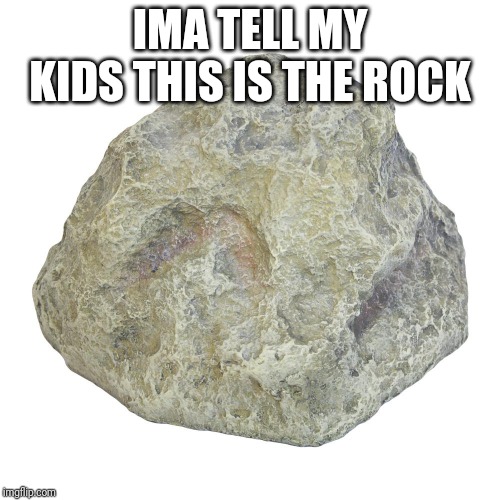 Ima tell my kids | IMA TELL MY KIDS THIS IS THE ROCK | image tagged in the rock,rock,ima tell | made w/ Imgflip meme maker