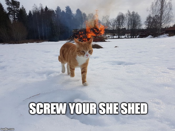 cat | SCREW YOUR SHE SHED | image tagged in cats | made w/ Imgflip meme maker