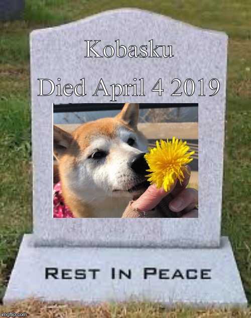 Rest In Piece Kobasku | Died April 4 2019; Kobasku | image tagged in doge death,kobasku,shibe,doge | made w/ Imgflip meme maker