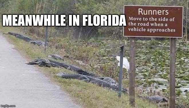 Joggers gauntlet... who says gators can’t read? | MEANWHILE IN FLORIDA | image tagged in florida,alligators,jogging,memes | made w/ Imgflip meme maker