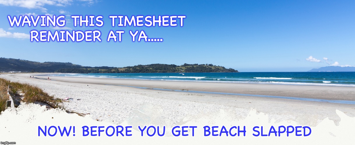 Beach Timesheeet Reminder | WAVING THIS TIMESHEET REMINDER AT YA..... NOW! BEFORE YOU GET BEACH SLAPPED | image tagged in beach timesheet reminder,beach,timesheet reminder,timesheet meme,beach slapped | made w/ Imgflip meme maker