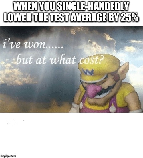Wario sad | WHEN YOU SINGLE-HANDEDLY LOWER THE TEST AVERAGE BY 25% | image tagged in wario sad | made w/ Imgflip meme maker