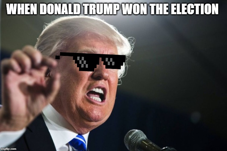 donald trump | WHEN DONALD TRUMP WON THE ELECTION | image tagged in donald trump | made w/ Imgflip meme maker