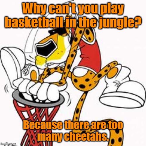 Cant play basketball in the jungle | Why can't you play basketball in the jungle? Because there are too many cheetahs. | image tagged in basketball | made w/ Imgflip meme maker